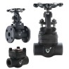 6" 300 BERIC CS OSY GATE VALVE
