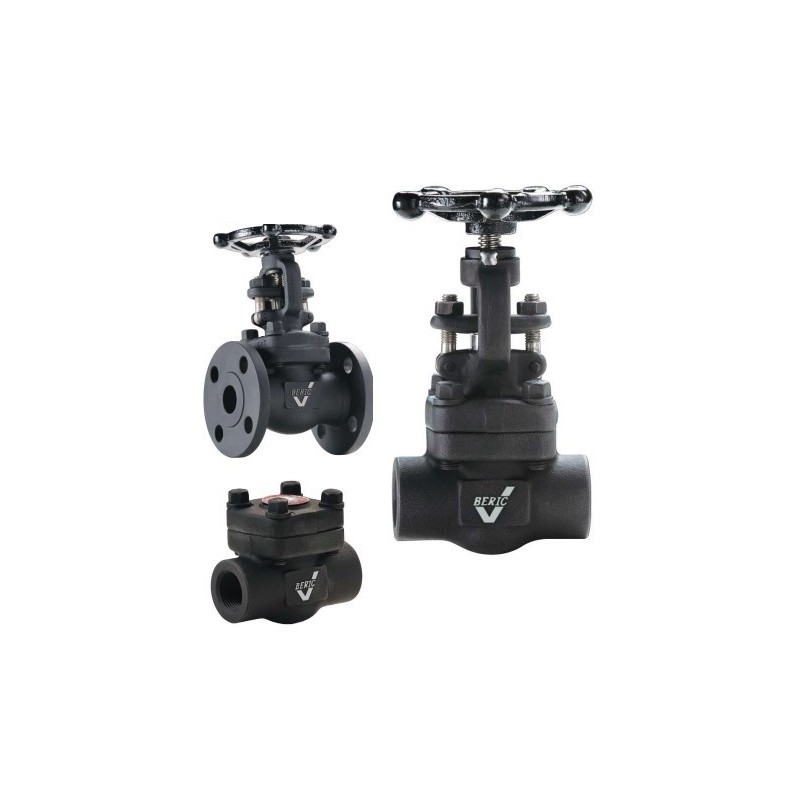 1" BERIC FS 800# THD BB GLOBE 