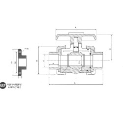 2" TVI TRUE UNION BV PVDF FLG 