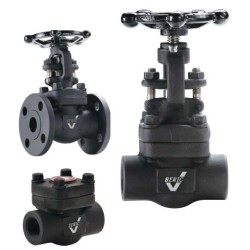 3/4" BERIC 150# FS FLG GATE   