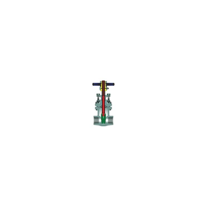 3/4" POWELL 2490 THRD 316 GATE