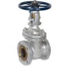 10" WARREN 1305C-8 300 GATE   