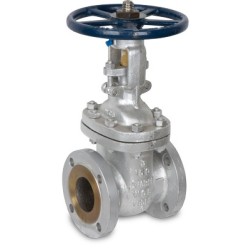 8" WARREN 1305C-8 300 GATE    