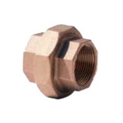 1/4" STD BRASS UNION          