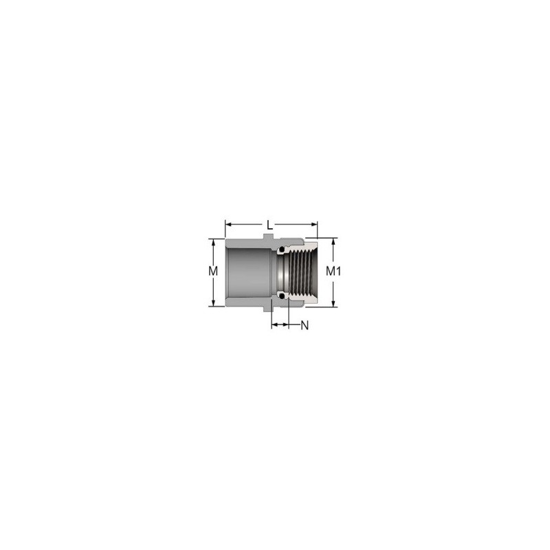 1" PVC 80 SS FIP ADPT         