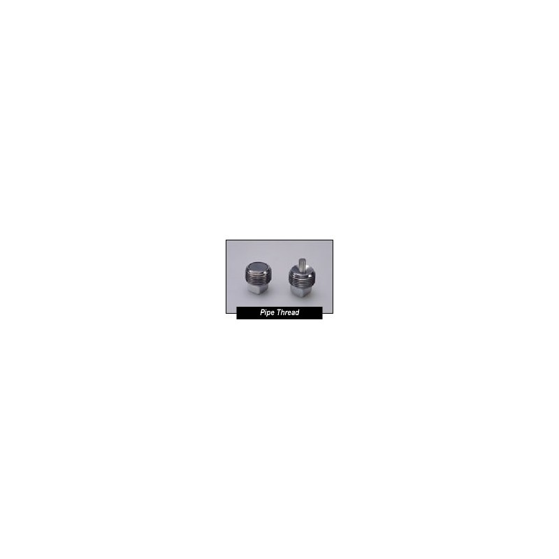 4016011 1/8" NPT MAGNETIC PLUG