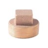2" STD BRASS PLUG             