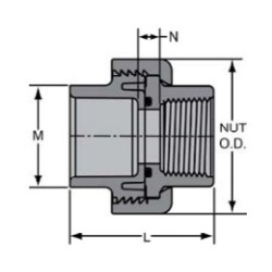 3/4" PVC 80 SXT UNION         