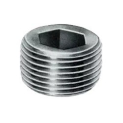 1" 150# 304 SS HEX CS PLUG    