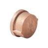 2 1/2" BRASS CAP IMP          