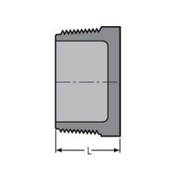 1 1/4" CPVC THRD PLUG         