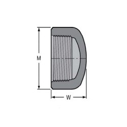 2 1/2" PVC 80 THRD CAP        