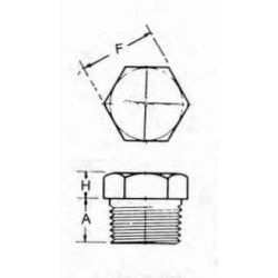 1" 304 3M THD HEX PLUG        