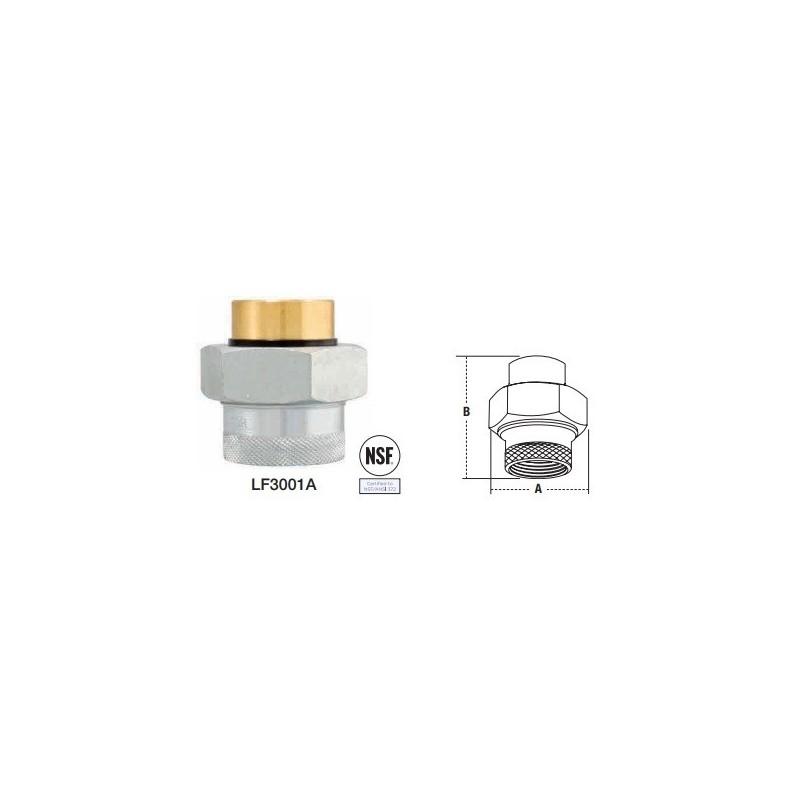 1" #3001A WATTS CXF DIEL UNION
