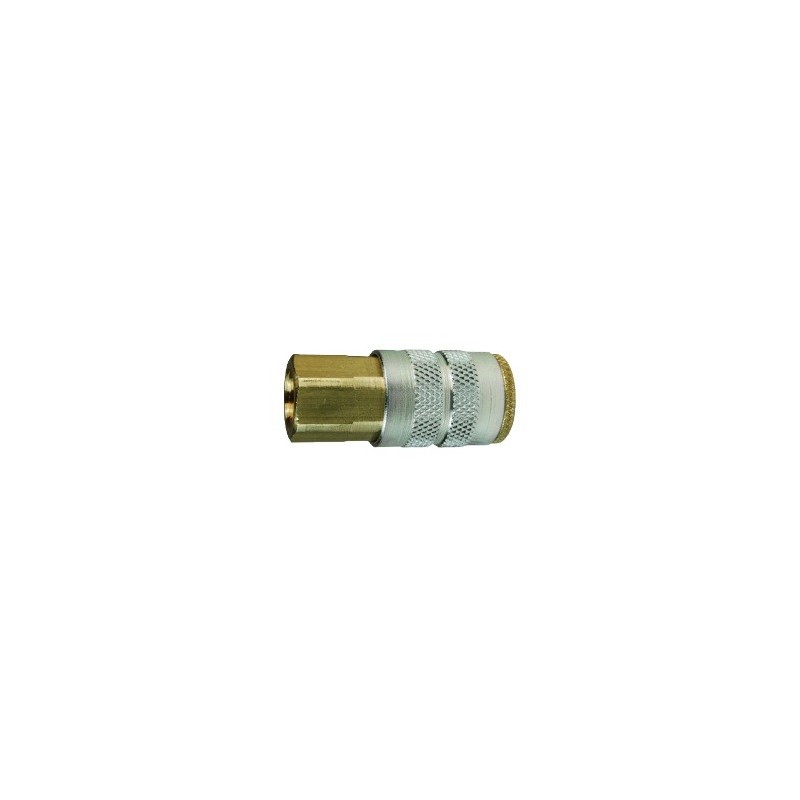 3/8"X1/4" 3FF2 DIXON FEM. CPLG
