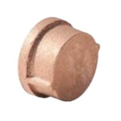 1/8" STD BRASS CAP            