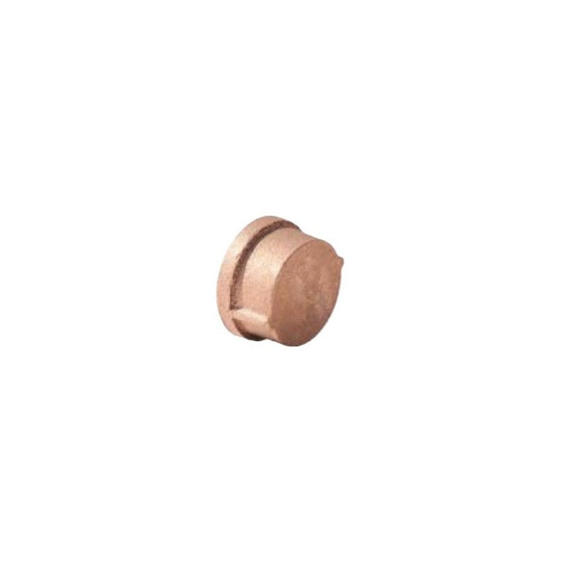 1/8" STD BRASS CAP            