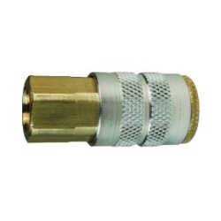 1/4" 2FF2 DIXON FEMALE CPLG   
