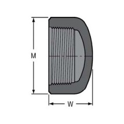 5" PVC 40 THRD CAP            