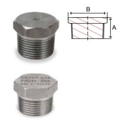 1 1/4 FS 3000 THRD HEX PLUG IM