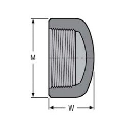 4" CPVC THRD CAP              