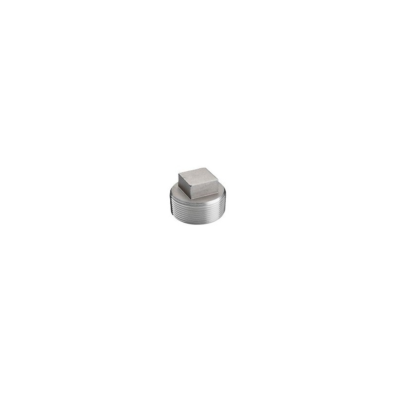 1/8" 150# 304 SS SQ HD PLUG   
