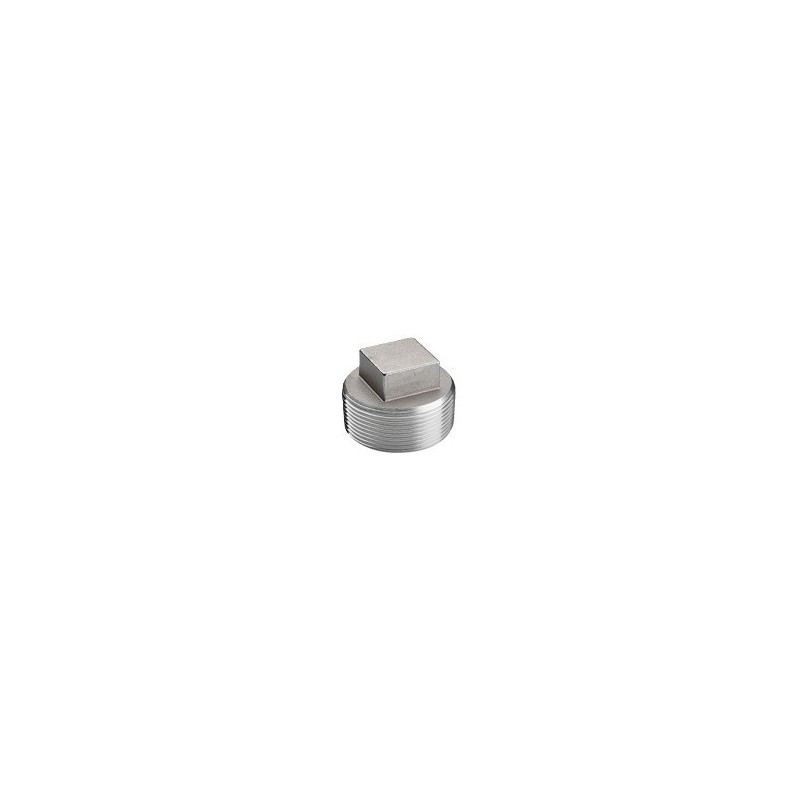 1" 150# 304 SS SQ HD PLUG     