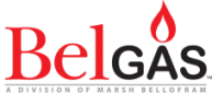 Belgas logo